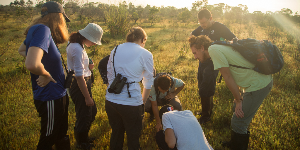 GVI volunteers monitor the environment. 