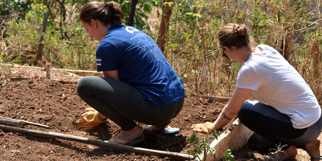 You can also do hands-on sustainable work during your research internship. 