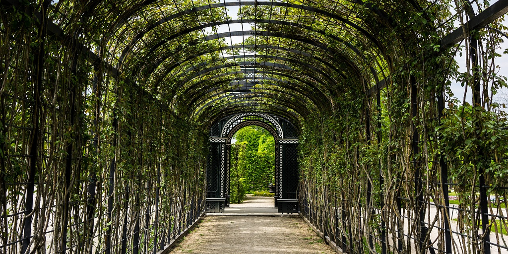 Schonbruun garden, Vienna, Austria
