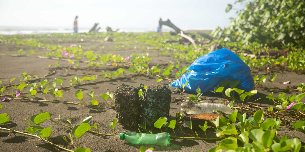 GVI participants can take part in beach cleanups. 