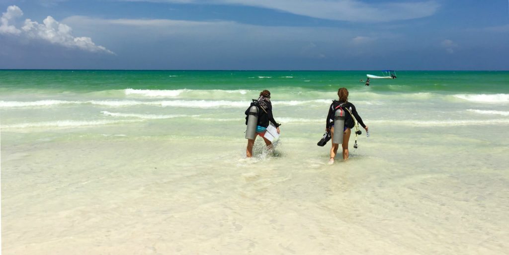 GVI volunteers heading our for a dive in the ocean. 