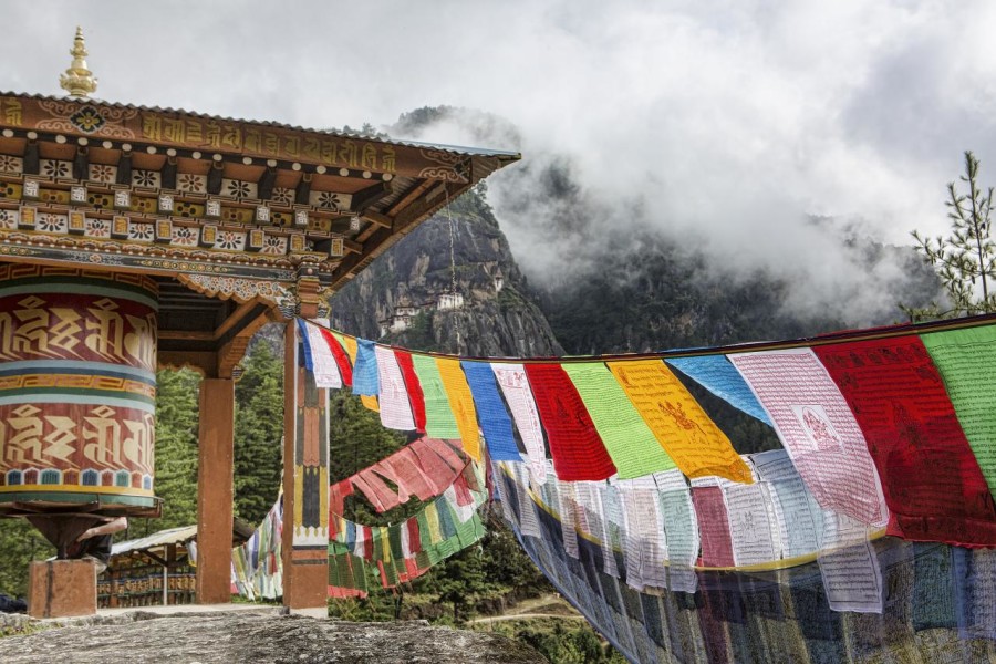Bhutan Becomes The World's First Carbon Negative Country